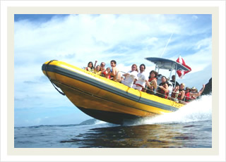Snorkeling tours and the best swim with the dolphins adventure tour discounts.
